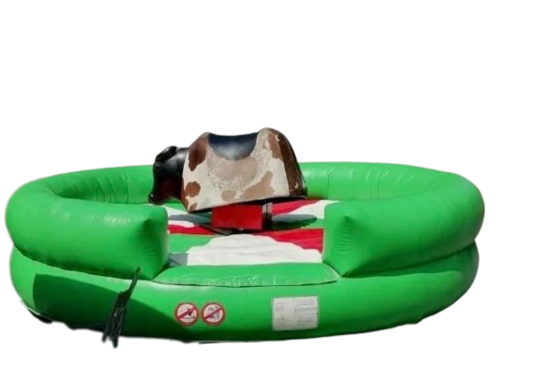 Bucking bronco pool sales float